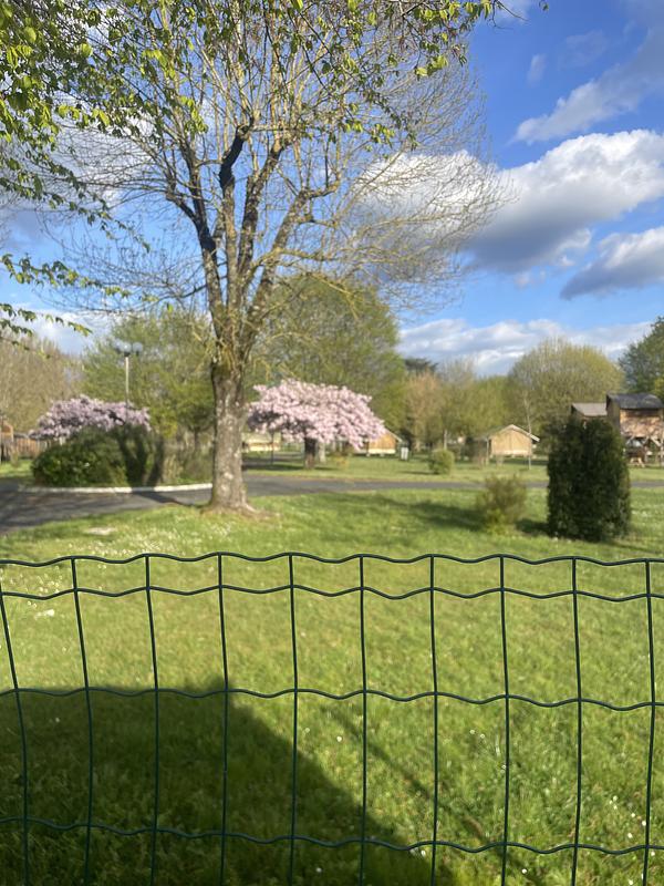Looking over the fence to the campsite next door