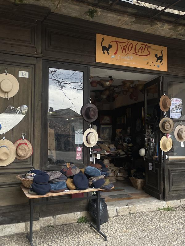 Hats for cats
